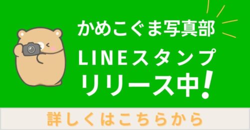 かめこぐま写真部LINEスタンプ用バナー